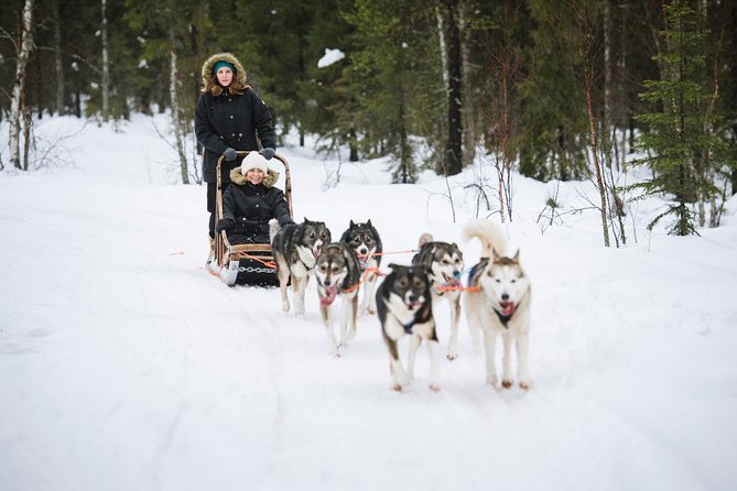 Dogsled Adventure Kiruna - Booking ahead and cancellation terms