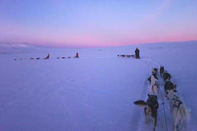 Dogsled Adventure Kiruna - Setting out from Kiruna in a guide’s sled