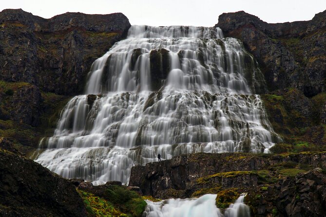 Dynjandi Waterfall & Iceland Farm Visit Tour - Guides who shape the day