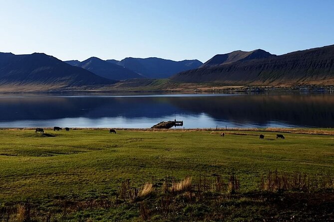 Dynjandi Waterfall & Iceland Farm Visit Tour - Practical details that can make the day better