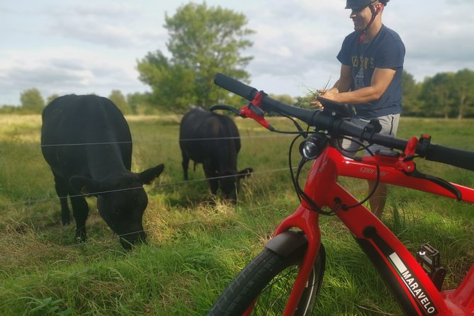 E-biking Central Forgotten Giants' s Adventure - Why these four giants make a better day out than another city tour