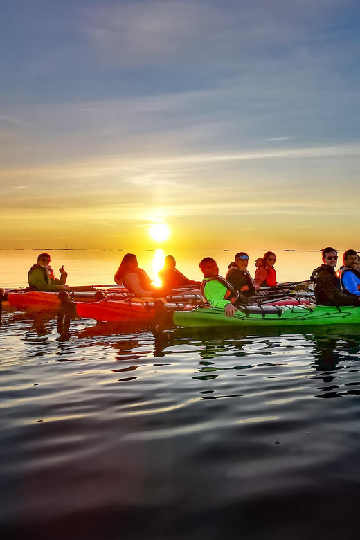 Eggum: Lofoten Islands Midnight Sun Kayak Tour - Seabirds, sea eagles, and quiet observation