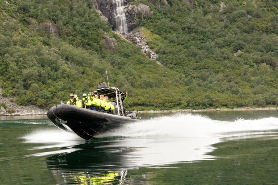 Eidfjord: 1-Hour Fjord RIB Tour - Goats, seals, birds, and the chance of dolphins