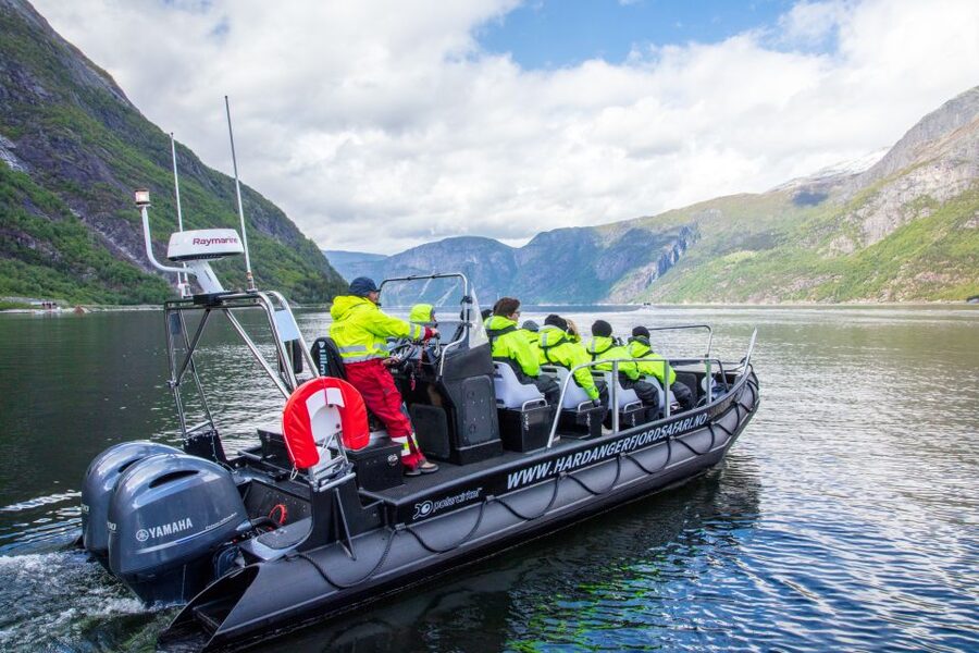 Eidfjord: 1-Hour Fjord RIB Tour - Speed, comfort, and how the ride feels
