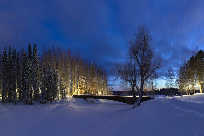 Entry to the amazing Serlachius Museums in the Tampere region - Key points at a glance