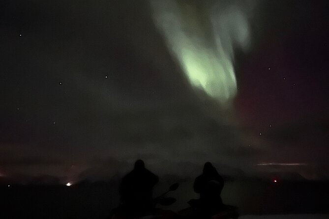 Evening Tour and Aurora Borealis Sightseeing in Norway by ATV - Group size, pace, and comfort