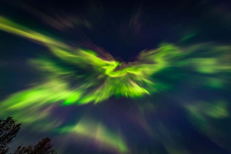 Experience the majestic Auroras Kiruna-Abisko & lodge dinner - Is $255 a fair price?