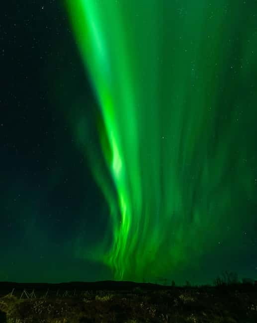 Experience the majestic Auroras Kiruna-Abisko & lodge dinner - Timing, pickup, and age limits