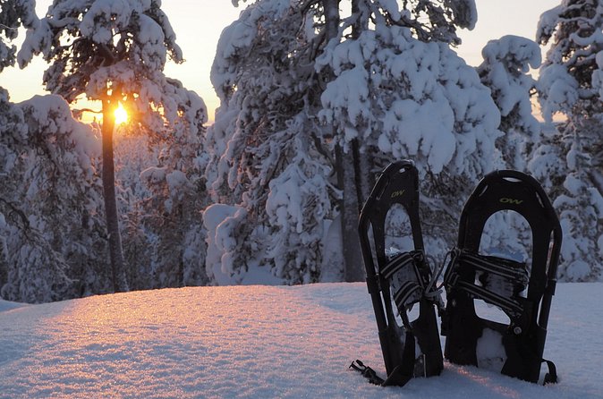 Explore Winter Woods: Snowshoe walk with local Biologist - A fire, hot drink, and local food in the kota