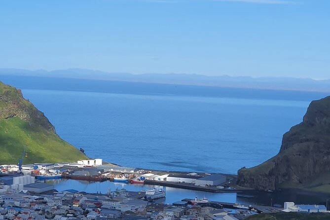 Eyjascooter Puffin Tour in Iceland - Weather, cancellations, and the cruise-ship question