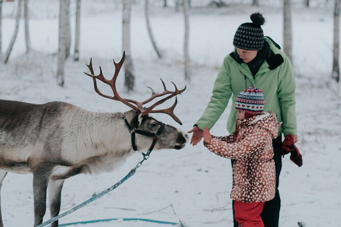 Family day: Reindeer, Husky and Snowmobiling in Levi - Key points to know before booking