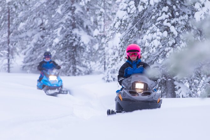 Family day: Reindeer, Husky and Snowmobiling in Levi - Three Lapland experiences in one half-day
