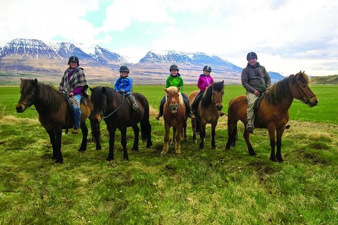 Family Friendly Horse Riding Tour in Skagafjörður - Key points to know before you book