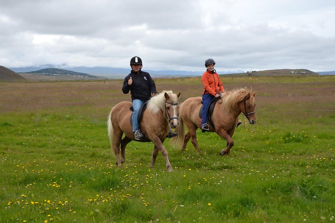 Family Friendly Horse Riding Tour in Skagafjörður - Riding an Icelandic horse in Skagafjörður