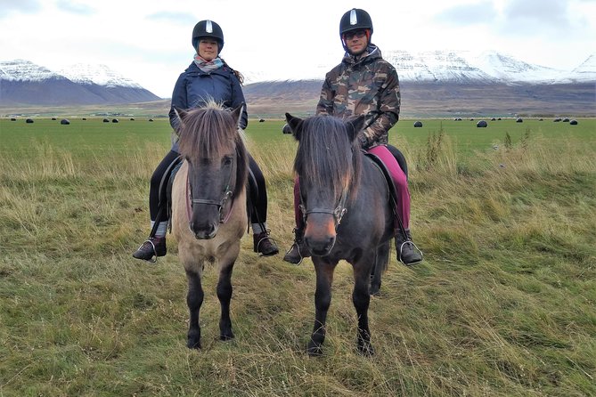 Family Friendly Horse Riding Tour in Skagafjörður - Ridges, wildflowers, and a canyon trail