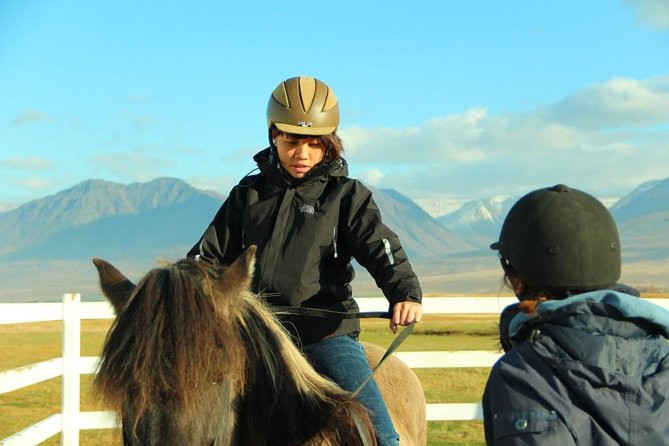 Family Friendly Horse Riding Tour in Skagafjörður - What the one-hour length means