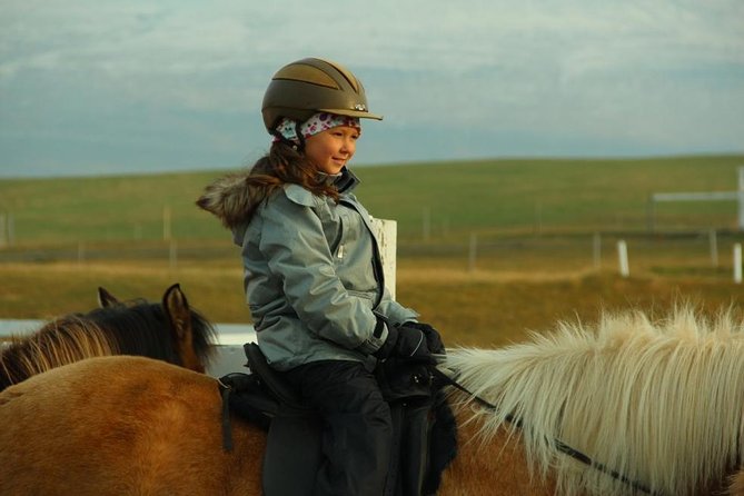 Family Friendly Horse Riding Tour in Skagafjörður - Why the $90.05 price can make sense