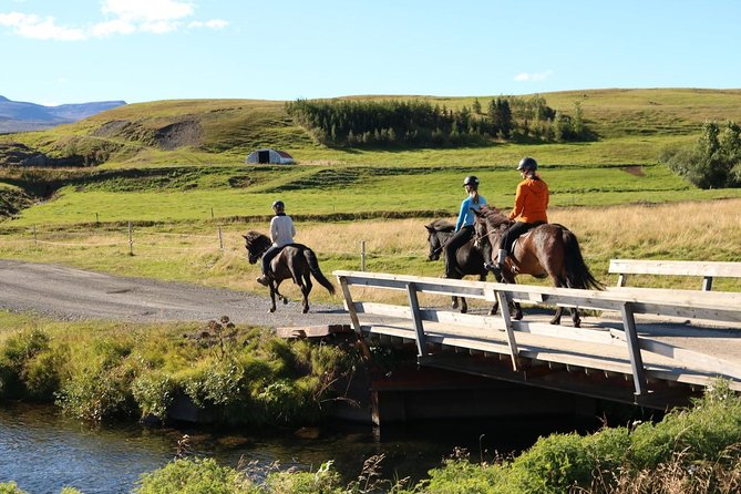Family Friendly Horse Riding Tour in Skagafjörður - Weather, clothing, and comfort
