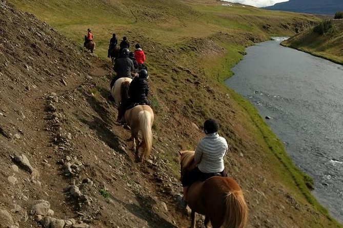 Family Friendly Horse Riding Tour in Skagafjörður - Is this suitable for your family?