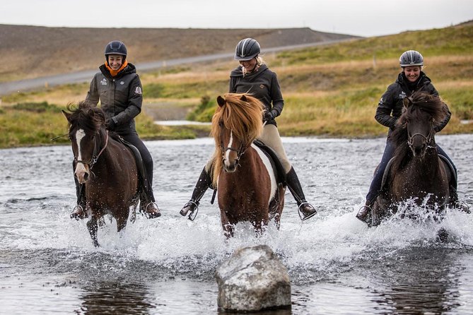 Family Friendly Horse Riding Tour in Skagafjörður - A gentle start for beginners