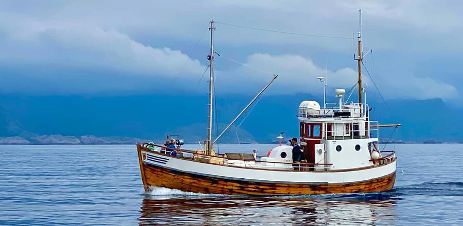Fishing trip from Henningsvær - Fishing at One of the Local Spots