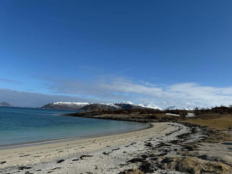 Fjord Foto Tour to Sommaroy (Roadtrip) - A guide who adds flexibility