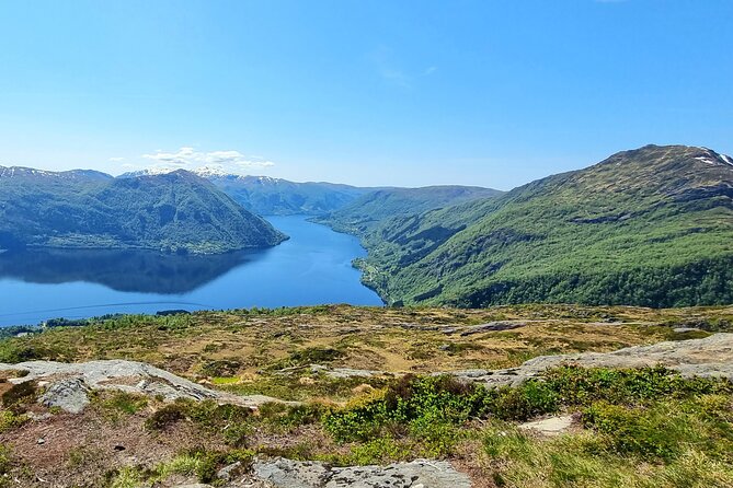 Fjord Hiking - Public tour - Local stories, plants, and Norwegian snacks