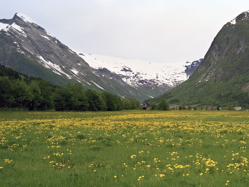 Fjords: Private Trip with Train and Cruise Ride - Why this Oslo to fjord day trip works