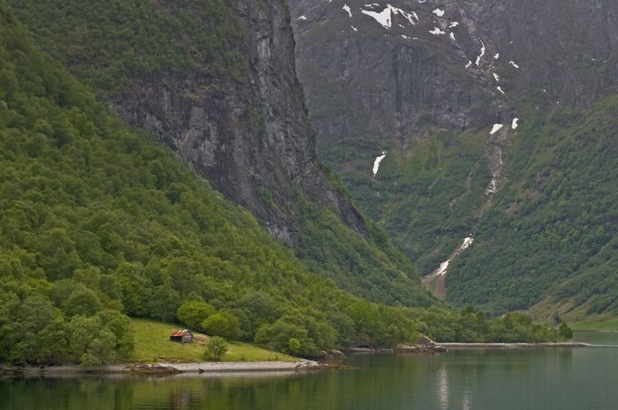 Fjords: Private Trip with Train and Cruise Ride - The Bergen Railway section