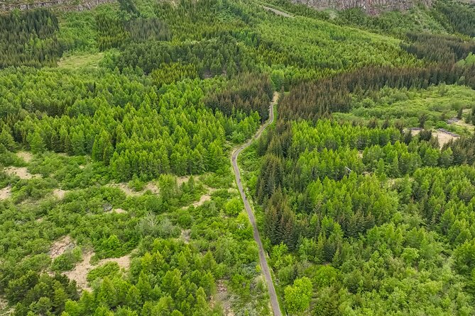 Forest Lagoon Ebike Tour Akureyri - Kjarnaskógur, Akureyri’s outdoor escape
