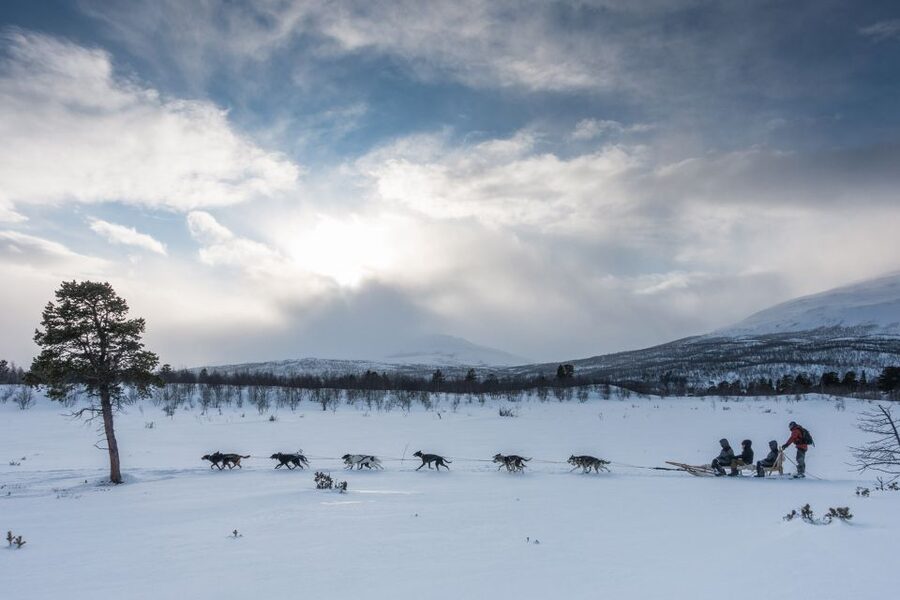From Abisko: Dog Sledding Excursion to Kiruna with Fika - What the 10 to 12 kilometer sled ride feels like