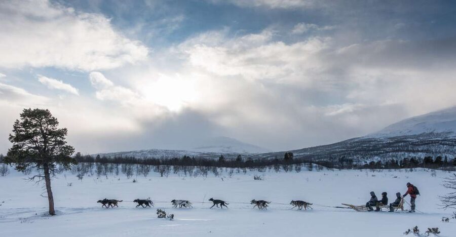 From Abisko: Dog Sledding Excursion to Kiruna with Fika - Returning to Abisko after the sled ride