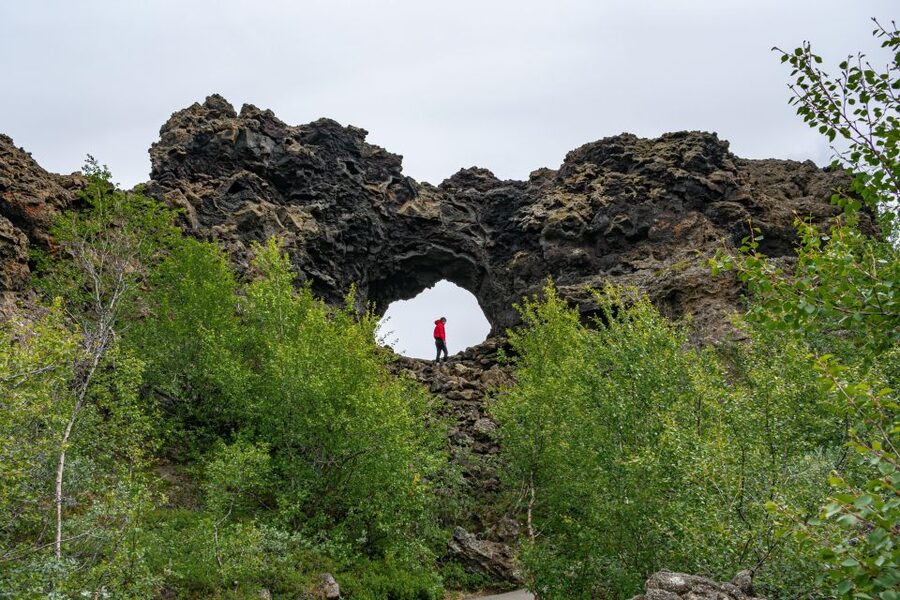 From Akureyri: Myvatn Lake, Craters, & Waterfall Tour - Port pickup and cruise-day planning