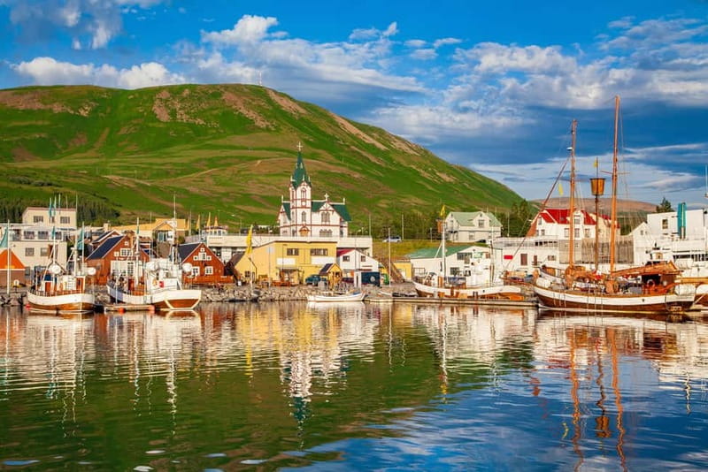 From Akureyri Port: Diamond Circle Guided Day Trip w/ Lunch - Who should book this tour?