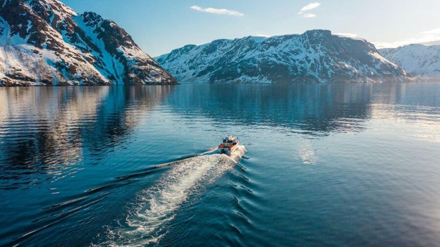 From Alta: Adventure Cruise in Alta Fjord - Key points before you book