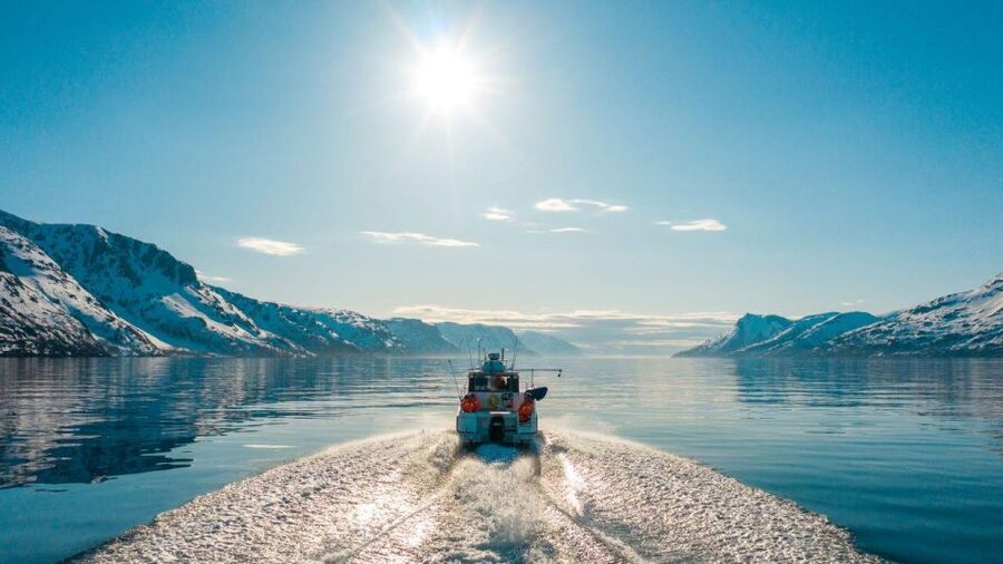 From Alta: Adventure Cruise in Alta Fjord - Alta Fjord is the real attraction