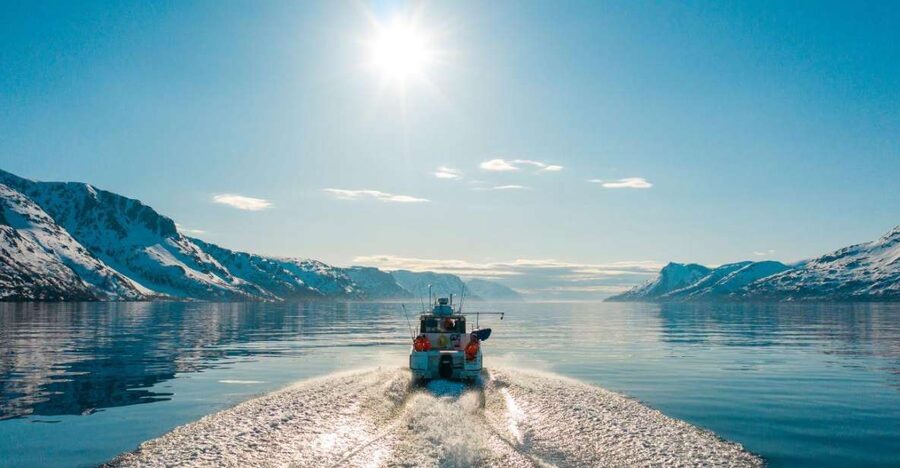 From Alta: Adventure Cruise in Alta Fjord - Is $117 good value?