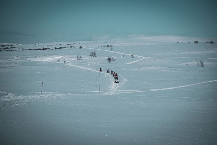 From Alta: Daytime Snowmobile Adventure - Key points to know before you book