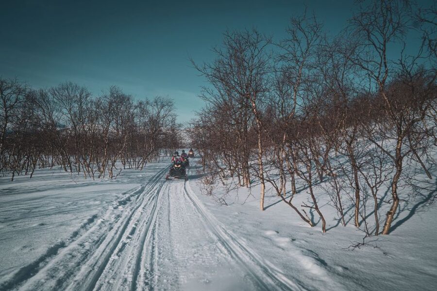From Alta: Daytime Snowmobile Adventure - The view from Beskades