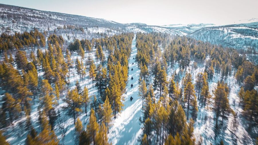 From Alta: Daytime Snowmobile Adventure - Is $296 a fair price?