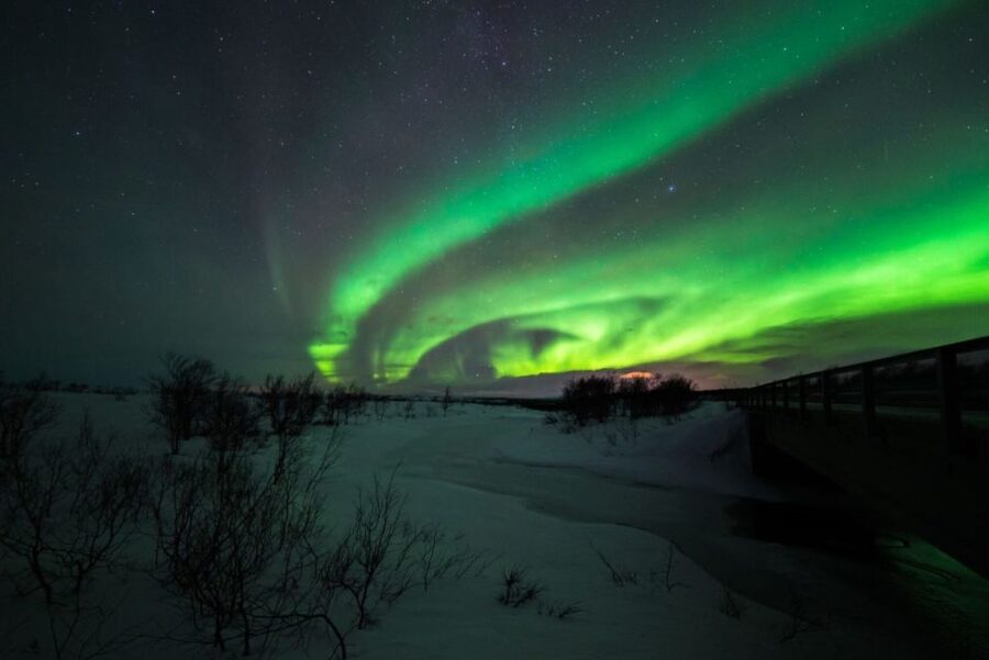 From Alta: Nighttime Northern Lights Spotting Tour - Key points to know before booking