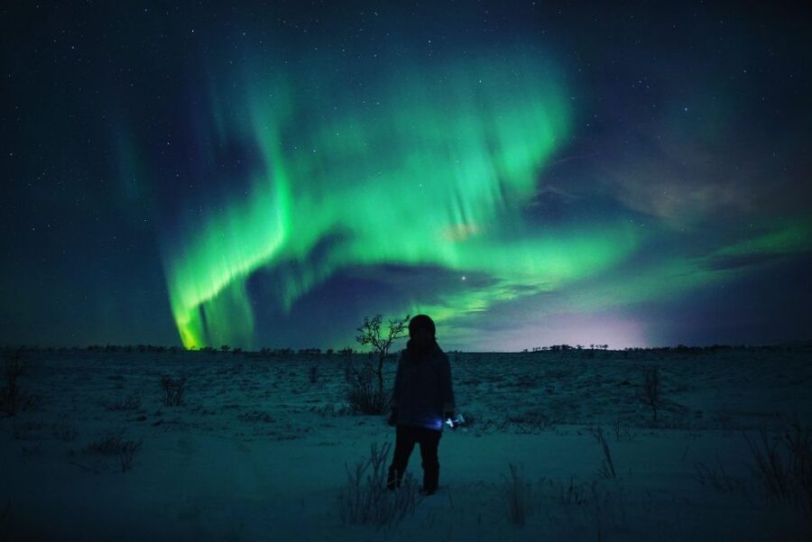 From Alta: Nighttime Northern Lights Spotting Tour - Riding out by minibus for better skies