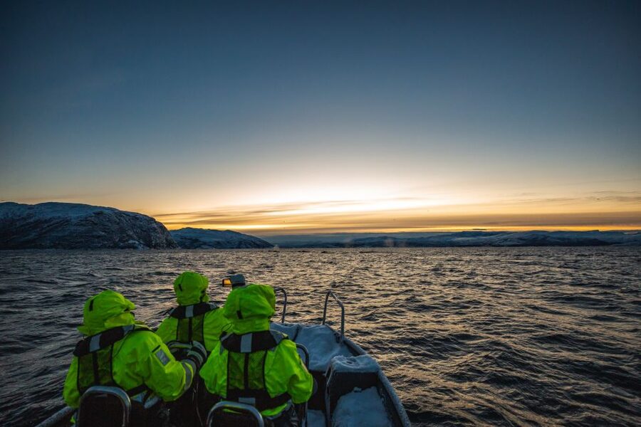 From Alta: Small Group Whale Watching by RIB - Searching the fjords for orcas and humpbacks