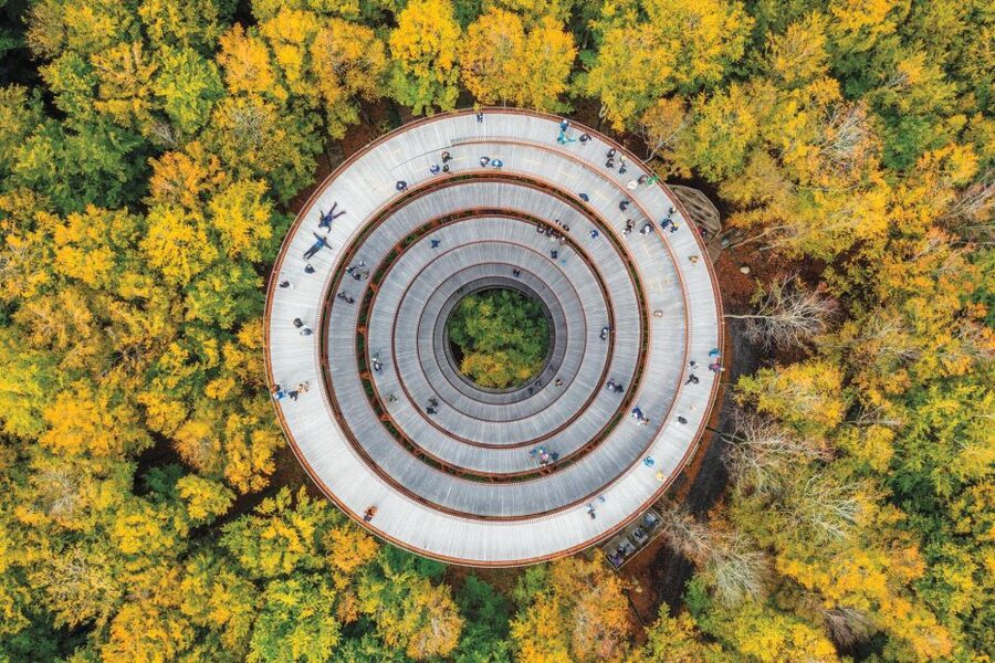 From Copenhagen: Round-Trip to Møns Klint and Forest Tower - Key points at a glance