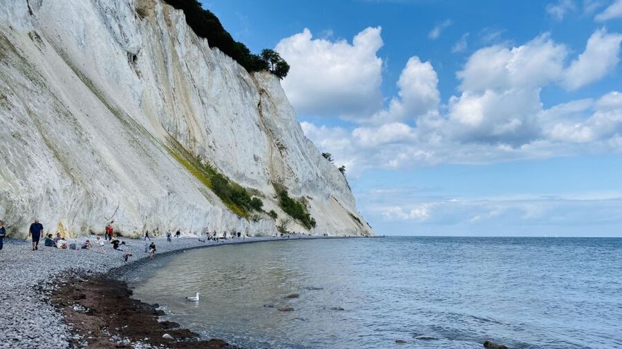 From Copenhagen: Round-Trip to Møns Klint and Forest Tower - Should you book the Møns Klint and Forest Tower trip?