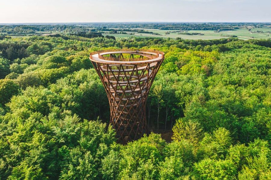 From Copenhagen: Round-Trip to Møns Klint and Forest Tower - How difficult is the walking?