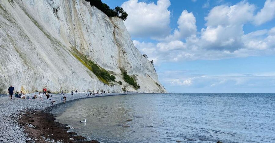 From Copenhagen: Round-Trip to Møns Klint and Forest Tower - Who should book this tour?