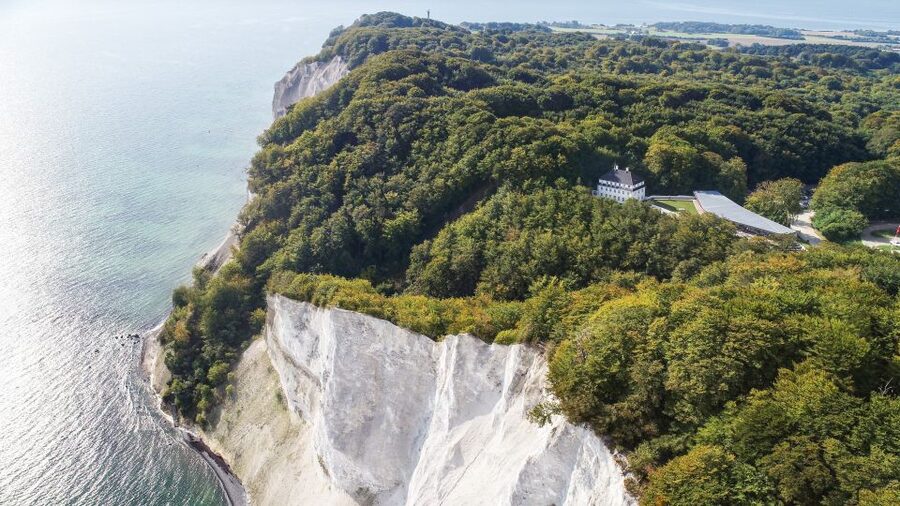 From Copenhagen: Round-Trip to Møns Klint and Forest Tower - The Forest Tower rises above Zealand’s trees