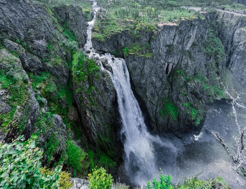From Eidfjord: Vøringfossen Waterfall Nature Tour with Guide - Who should book this experience?