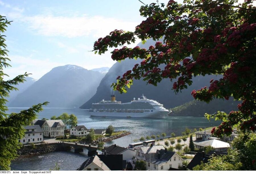 From Hellesylt: The Best of Geiranger Shore Excursion - Stryn gives you a practical town break